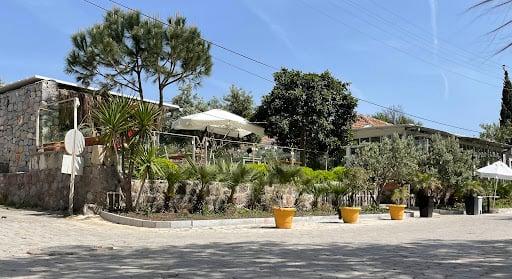 Zeytin Lina - Yalıkavak fotoğraf 7