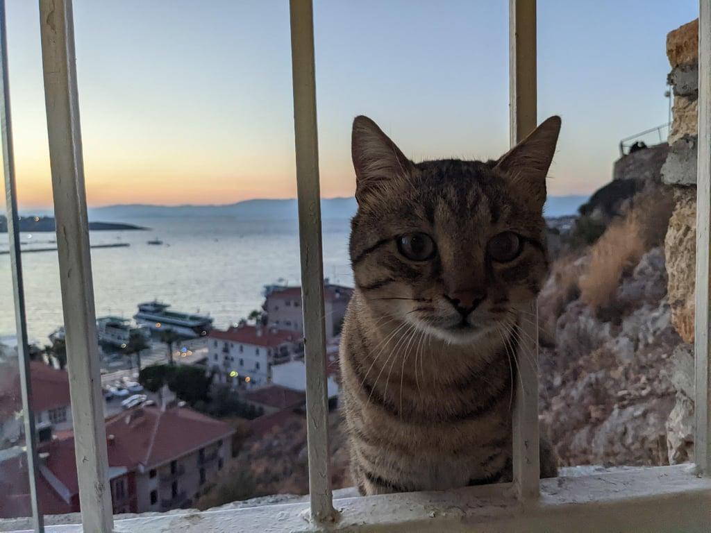 Seyir Kafe Çeşme | Seyir-Et fotoğraf 17