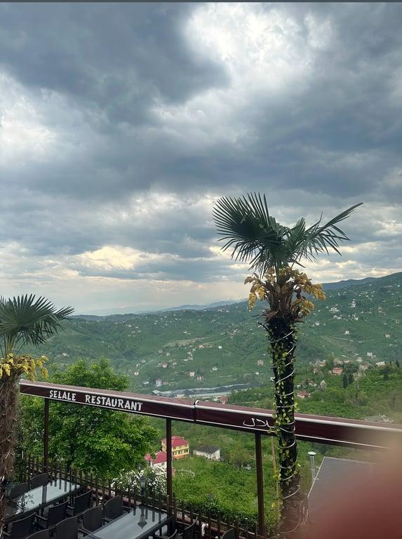 Şelale Restoran fotoğraf 6
