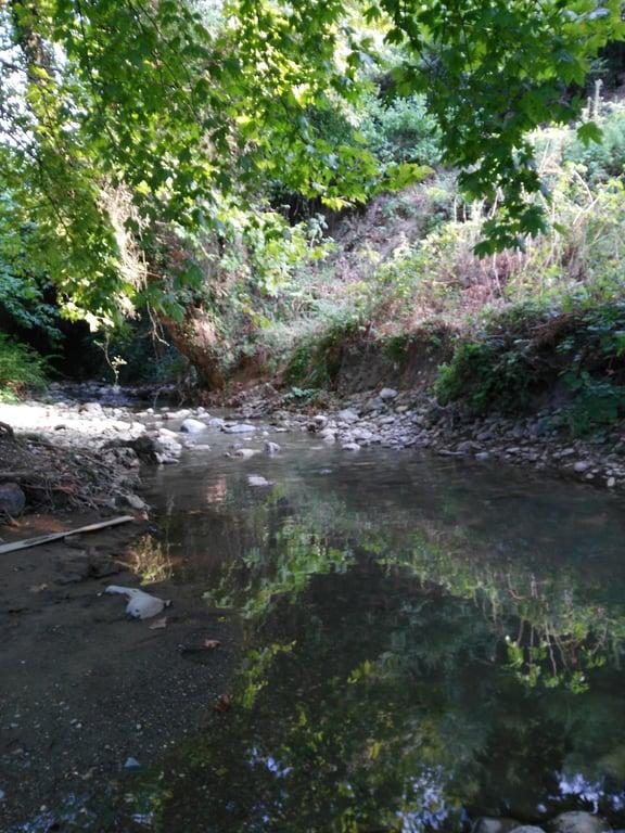 Osmangazi Belediyesi Değirmen Parkı Restaurant & Cafe fotoğraf 11
