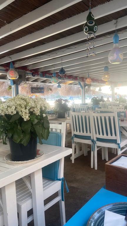 Karafaki Erhan Usta Gümüşlük Balık Restoranı fotoğraf 7