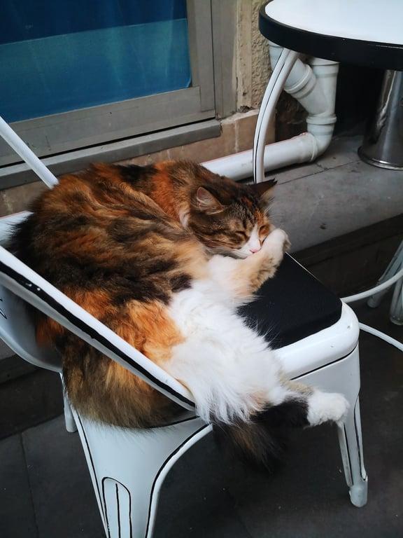 Suflör Kadıköy fotoğraf 16