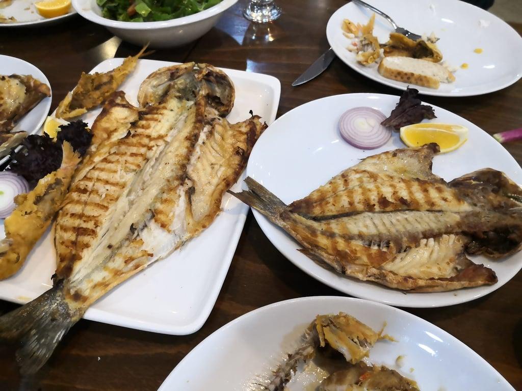 Yelken Balik Evi fotoğraf 8