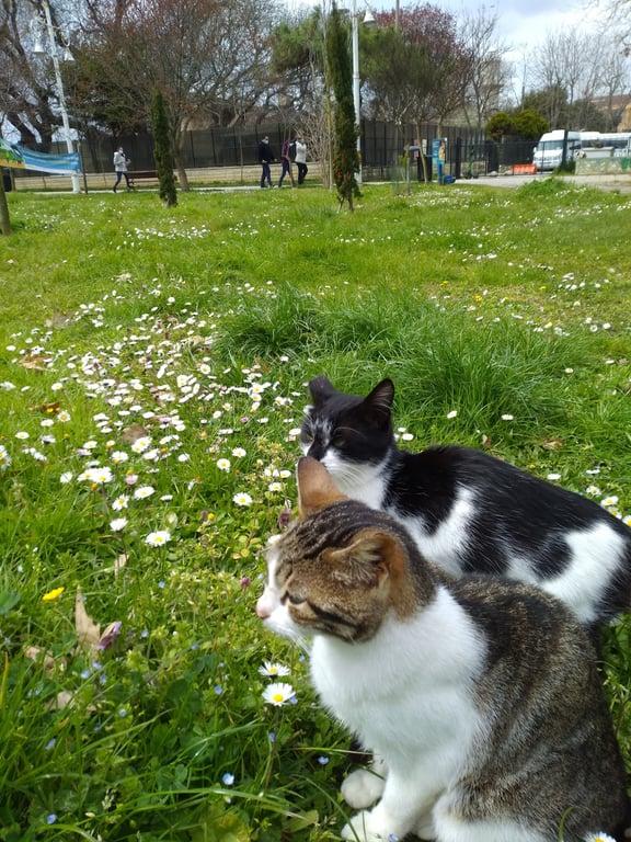 Fenerbahçe Parkı fotoğraf 2