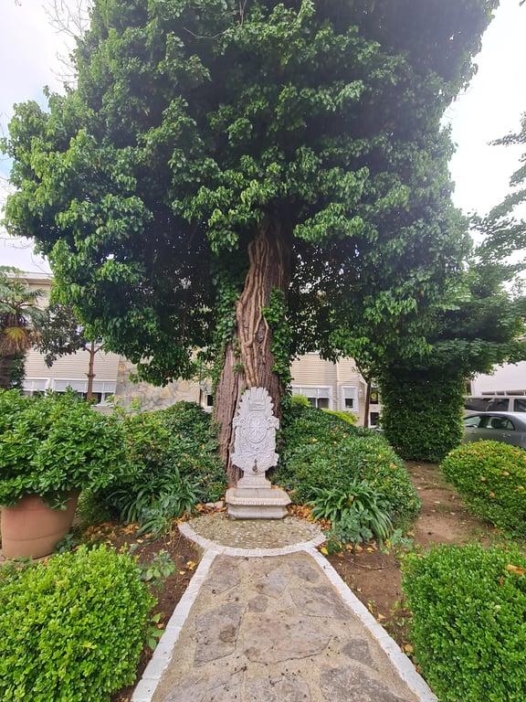 İstanbul Üniversitesi Sosyal Tesisleri Baltalimanı fotoğraf 16