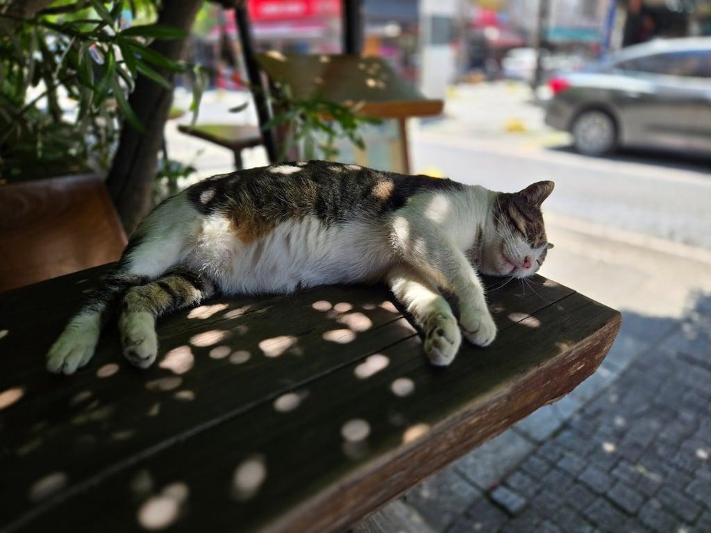 Akdeniz Kafe fotoğraf 6