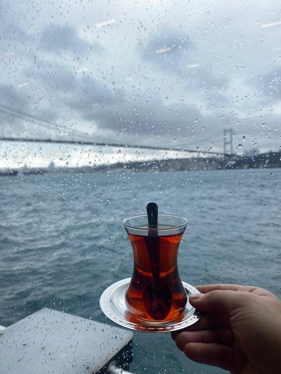 Beylerbeyi Sabancı Polisevi Sosyal Tesisi fotoğraf 6