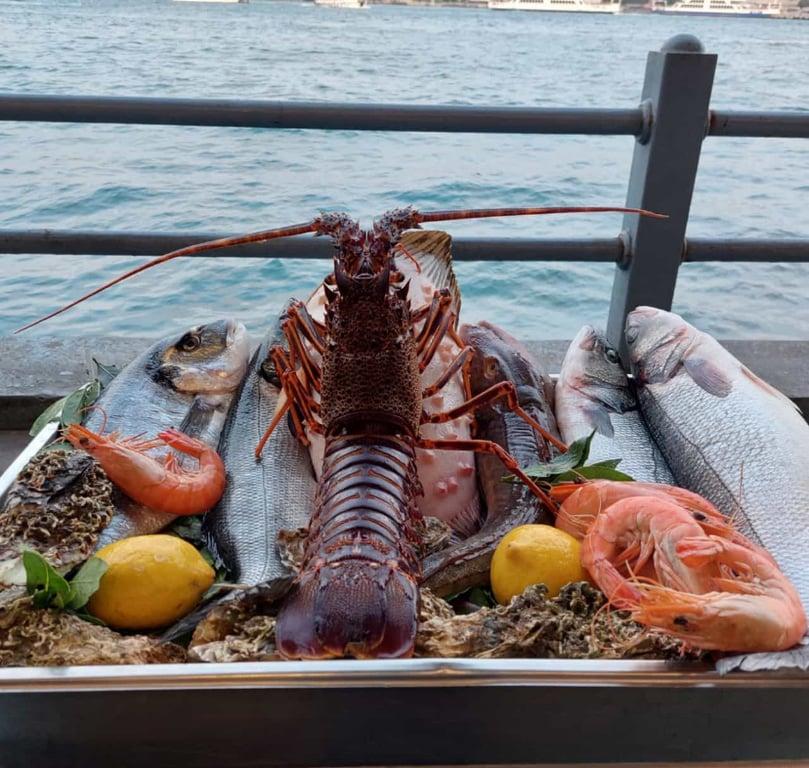 Galata İstanbul Balık fotoğraf 10