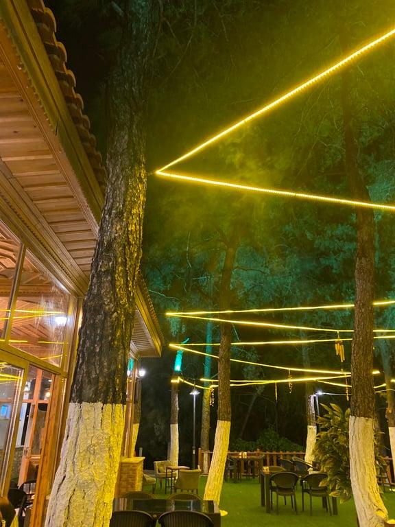 PİNE GARDEN ( ULA ) fotoğraf 8