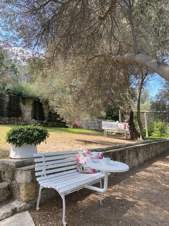 Zeytinaltı kahvaltı Alaçatı fotoğraf 17