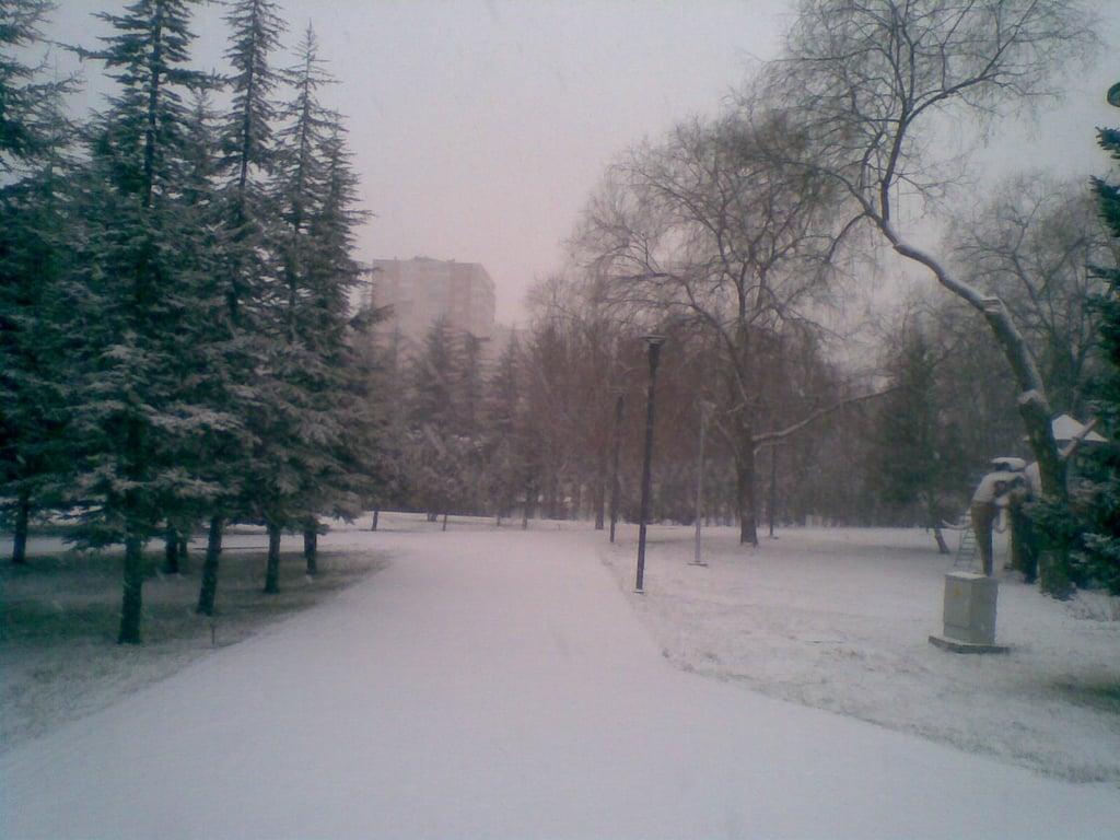Hâcegân Sofrasi fotoğraf 12