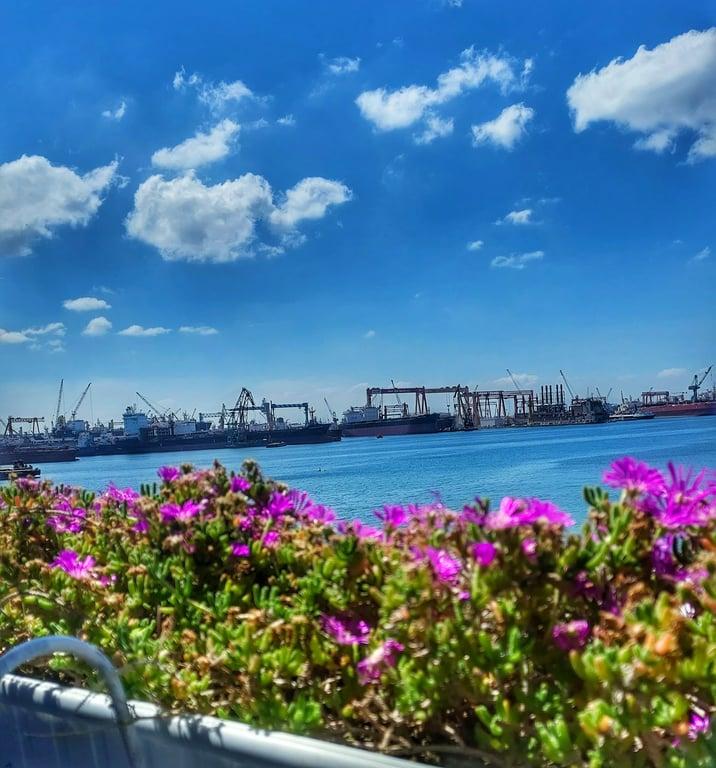 Pendik Belediyesi Güzelyalı Sosyal Tesisleri fotoğraf 11