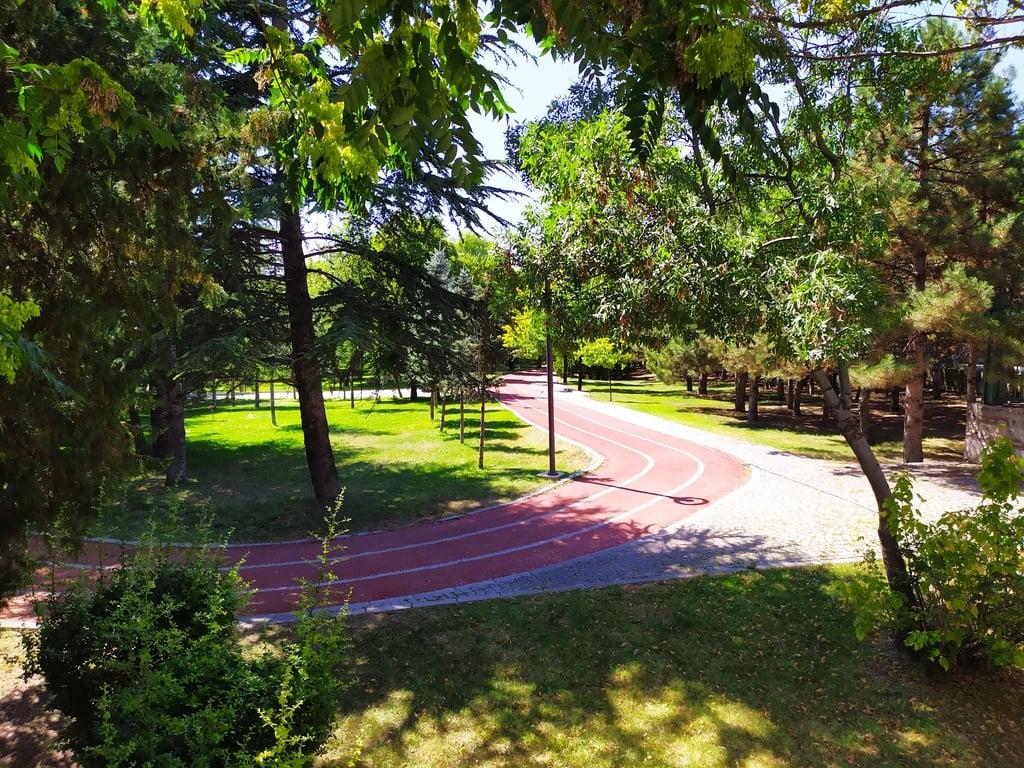 Hâcegân Sofrasi fotoğraf 14