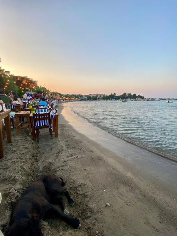 Cafe Inn fotoğraf 11