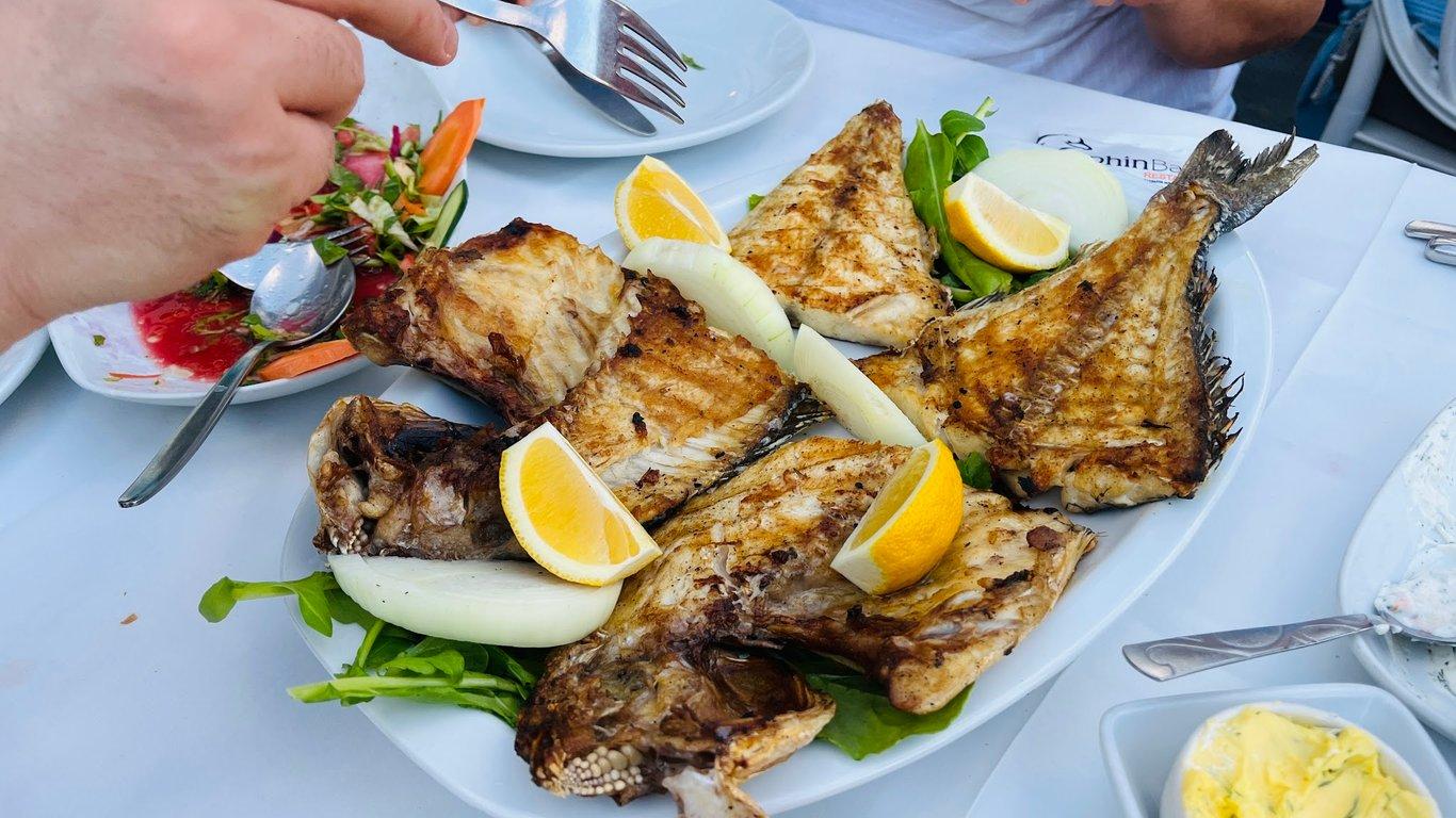 DOLPHIN BALIK RESTAURANT ( SARIYER BALIK RESTAURANT) fotoğraf 9