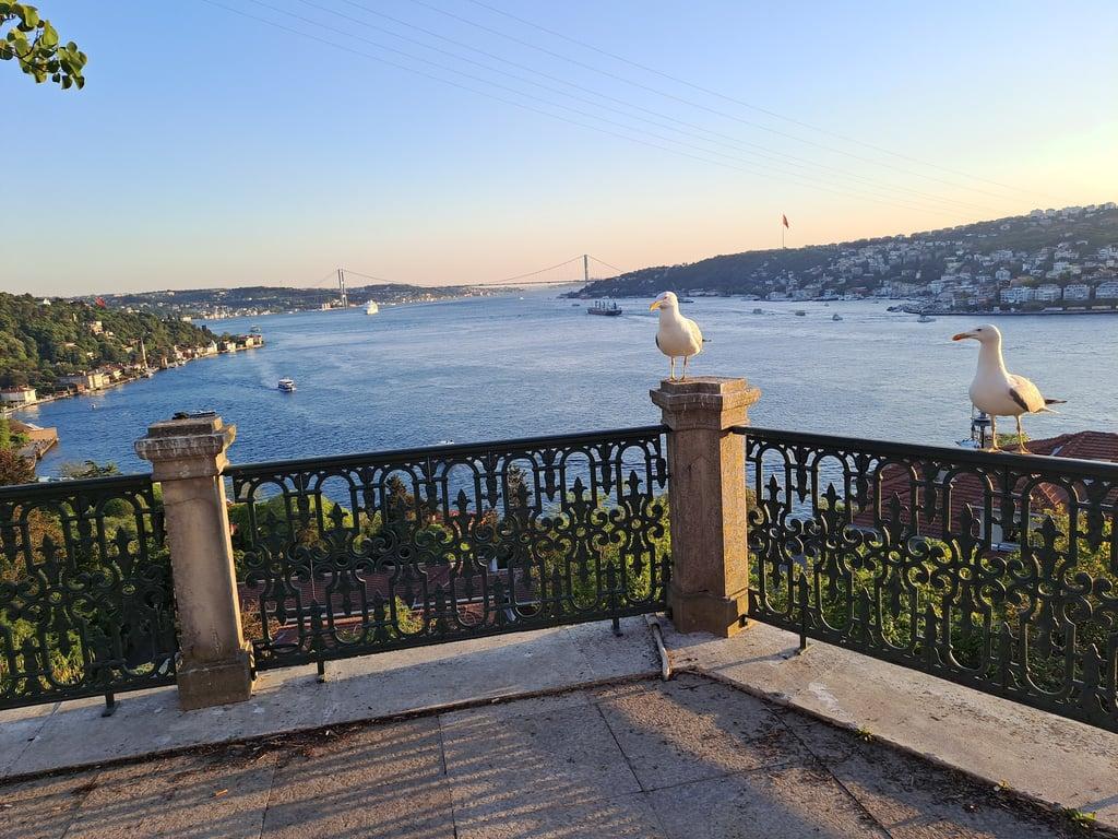 Borsa Restaurant fotoğraf 10