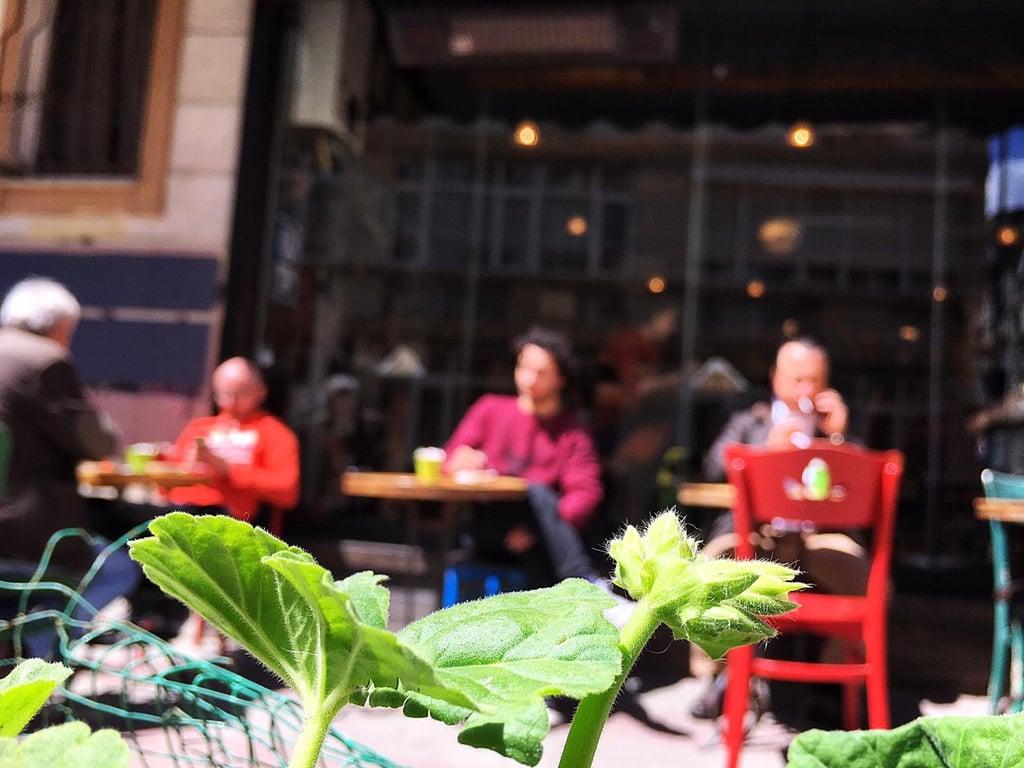 Tosbağa Cafe fotoğraf 10