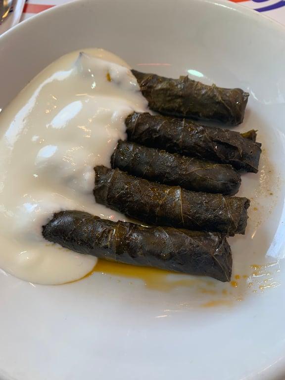 Bade Mantı Evi Kükürtlü fotoğraf 5