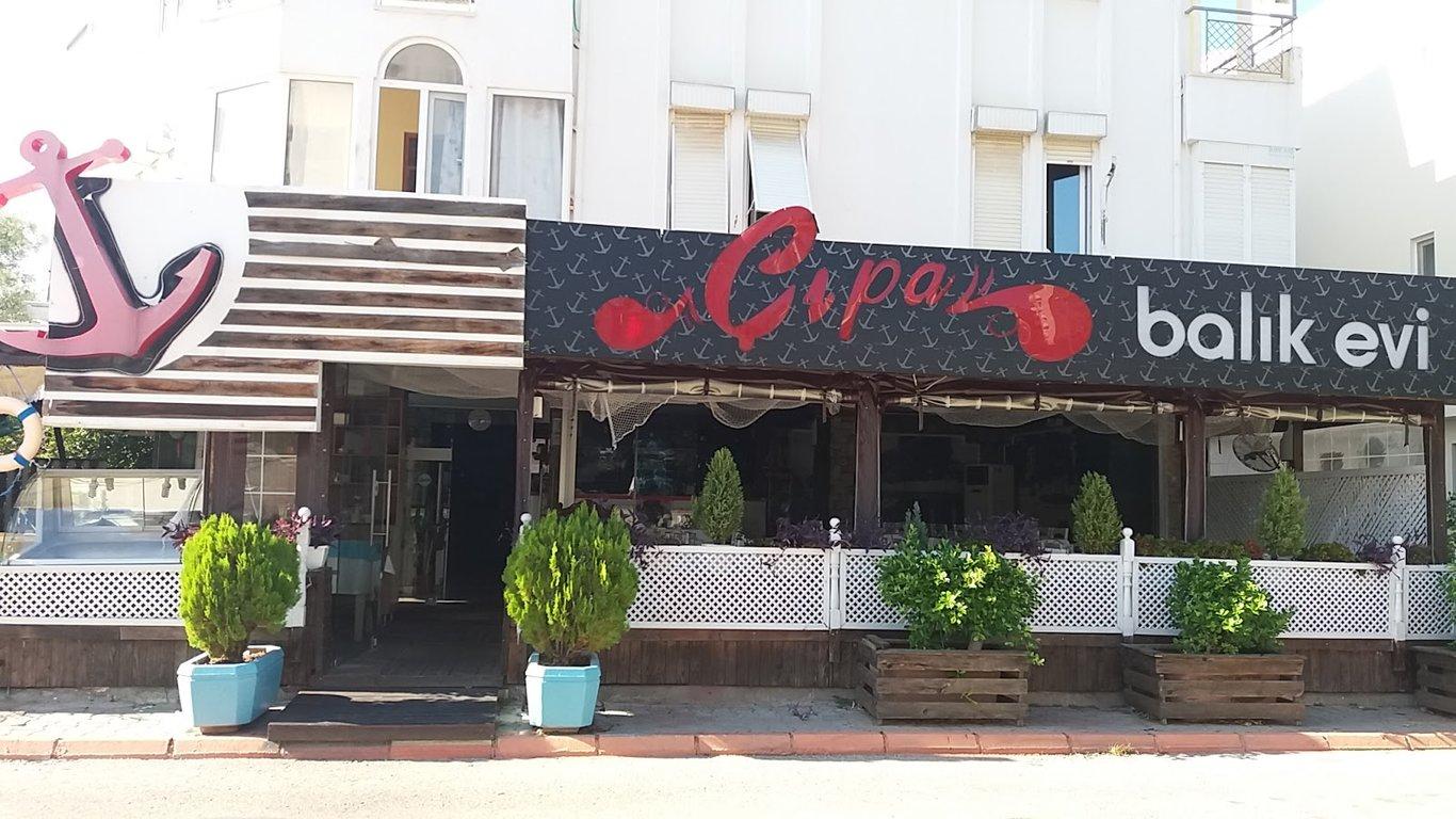 Çıpa Balık Pisiricisi