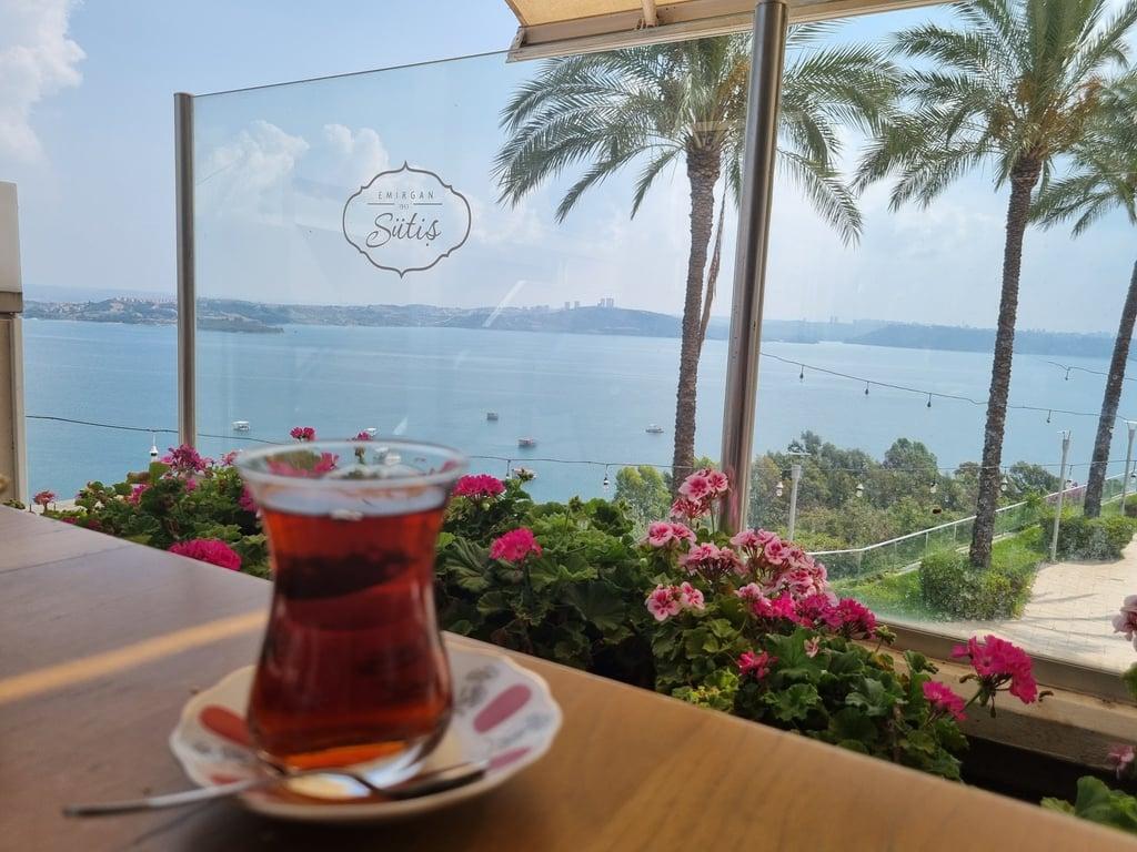 Emirgan Sütiş Park Zirve fotoğraf 13
