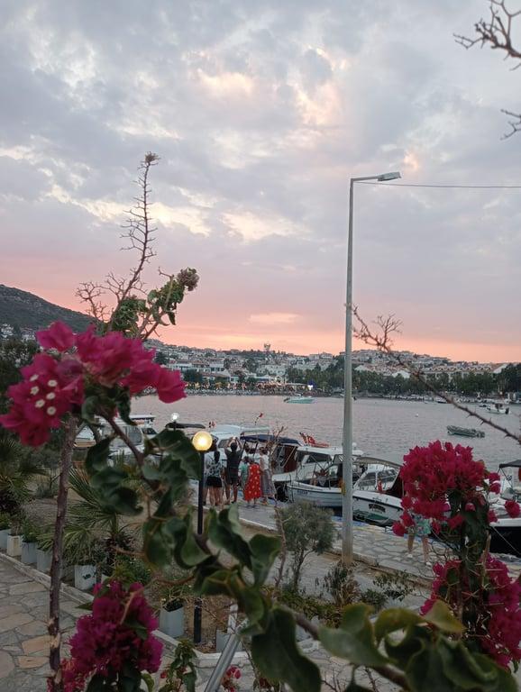Lodos Balık datça fotoğraf 8