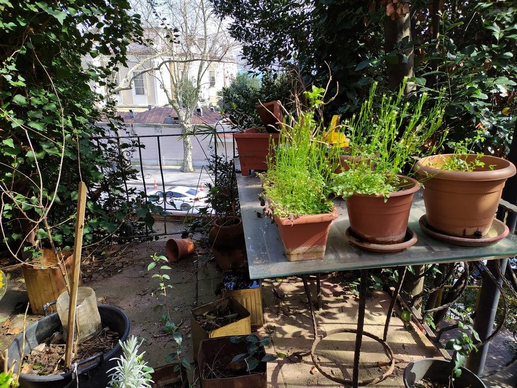 Yeniköy Kahvesi fotoğraf 6