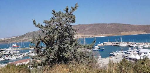 Marin Alaçatı fotoğraf 2