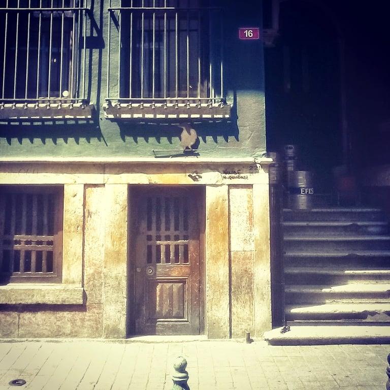 Karga fotoğraf 13