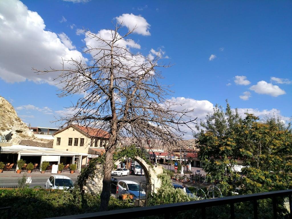 Han Çırağan fotoğraf 10