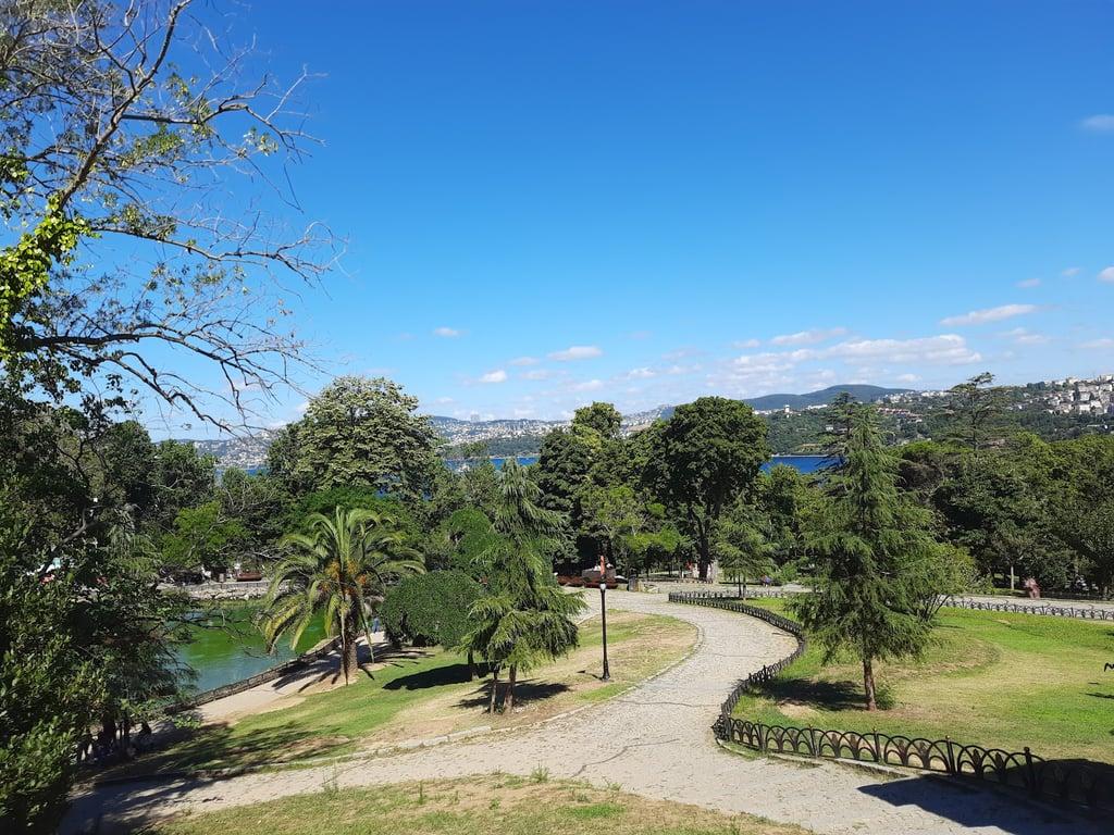 Sarı Köşk, Beltur fotoğraf 10