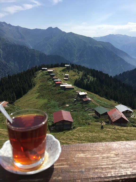 Platoda Mola fotoğraf 3