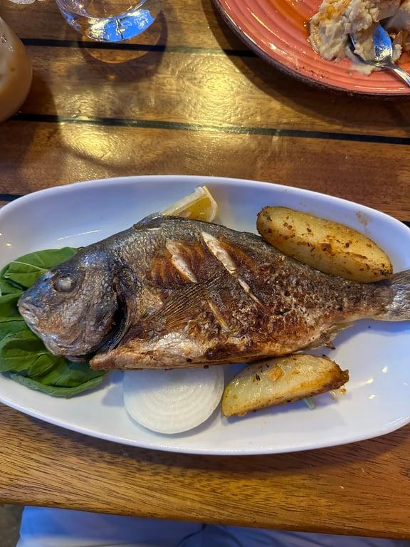 Bitez Cafe & Restaurant - Bodrum Belediye A.Ş. fotoğraf 5