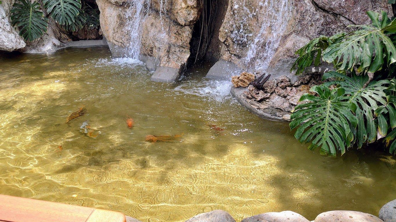 Waterfall Restaurant fotoğraf 14