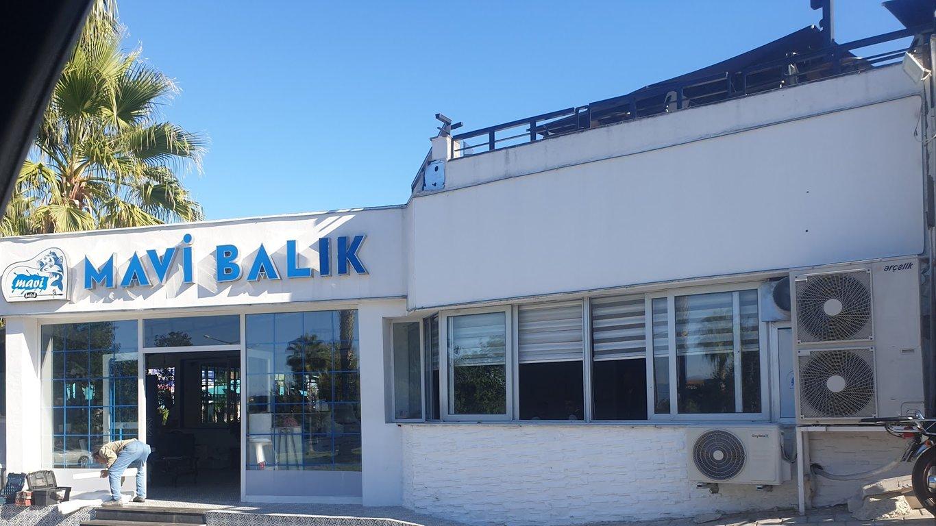 Mavi Balık Adana fotoğraf 7