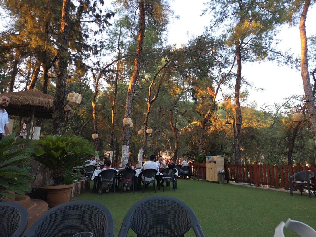 PİNE GARDEN ( ULA ) fotoğraf 4