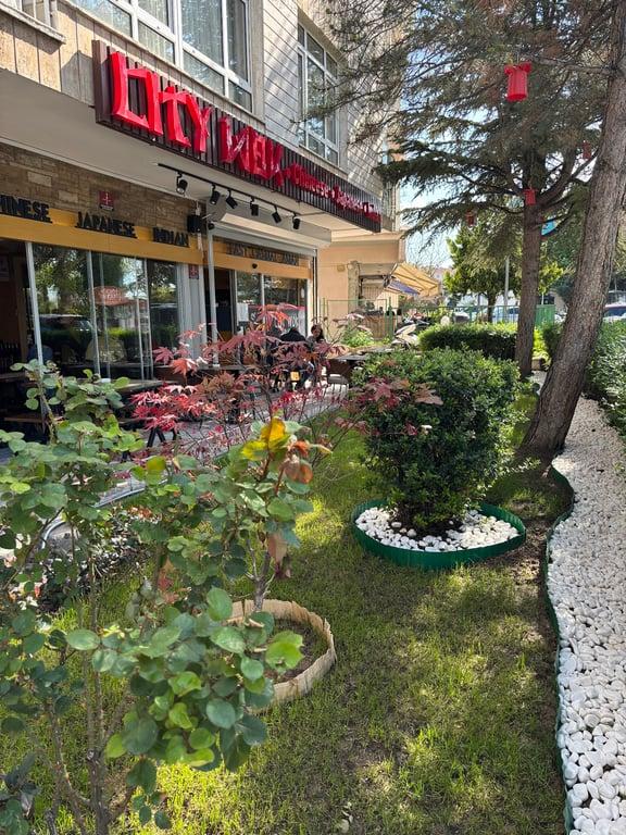 City Wok fotoğraf 3