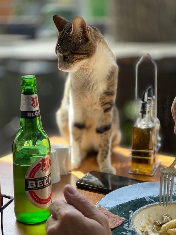 Zeytin Kafe & Bar fotoğraf 12
