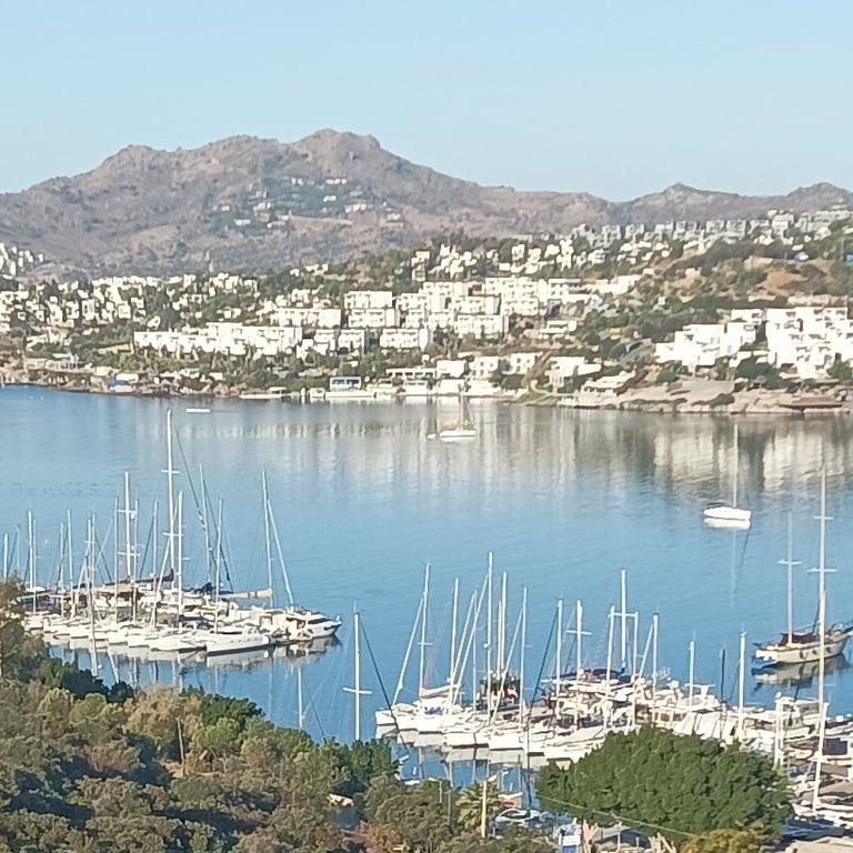 Bitez Cafe & Restaurant - Bodrum Belediye A.Ş. fotoğraf 9
