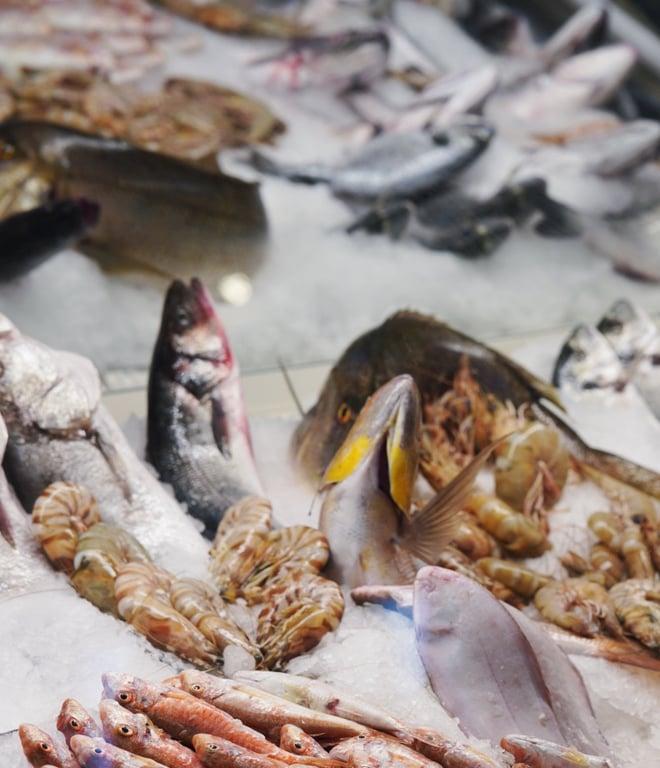 Marea Fish Restaurant fotoğraf 3