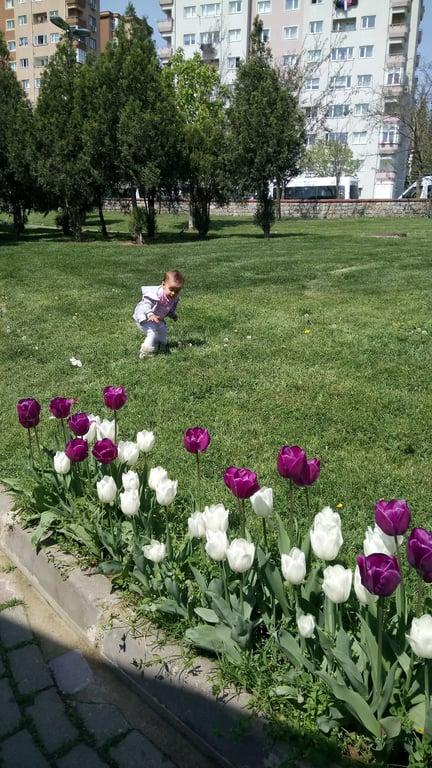 Clemence cafe fotoğraf 13