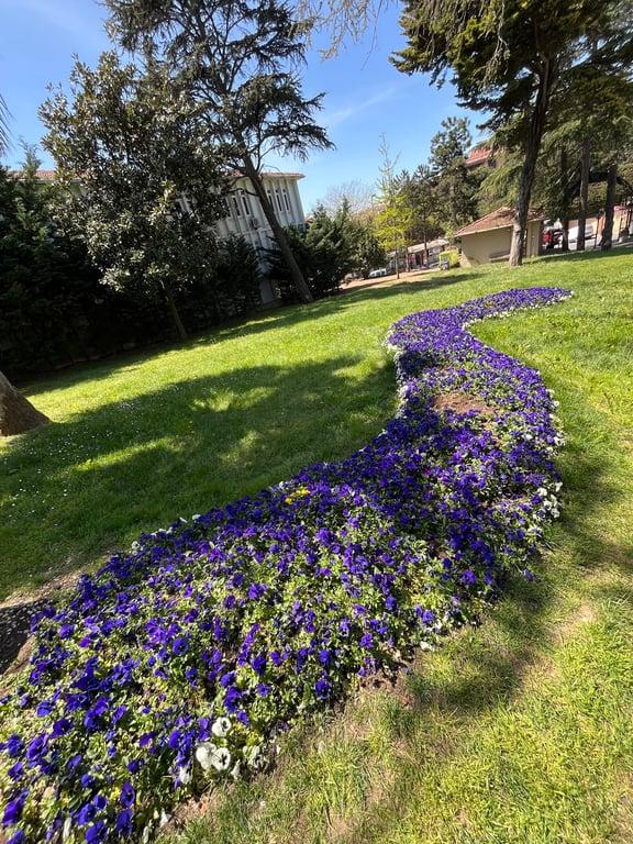 Tebessüm Kahvesi fotoğraf 12