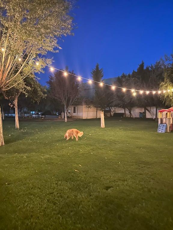 Kavaklı Restaurant fotoğraf 13