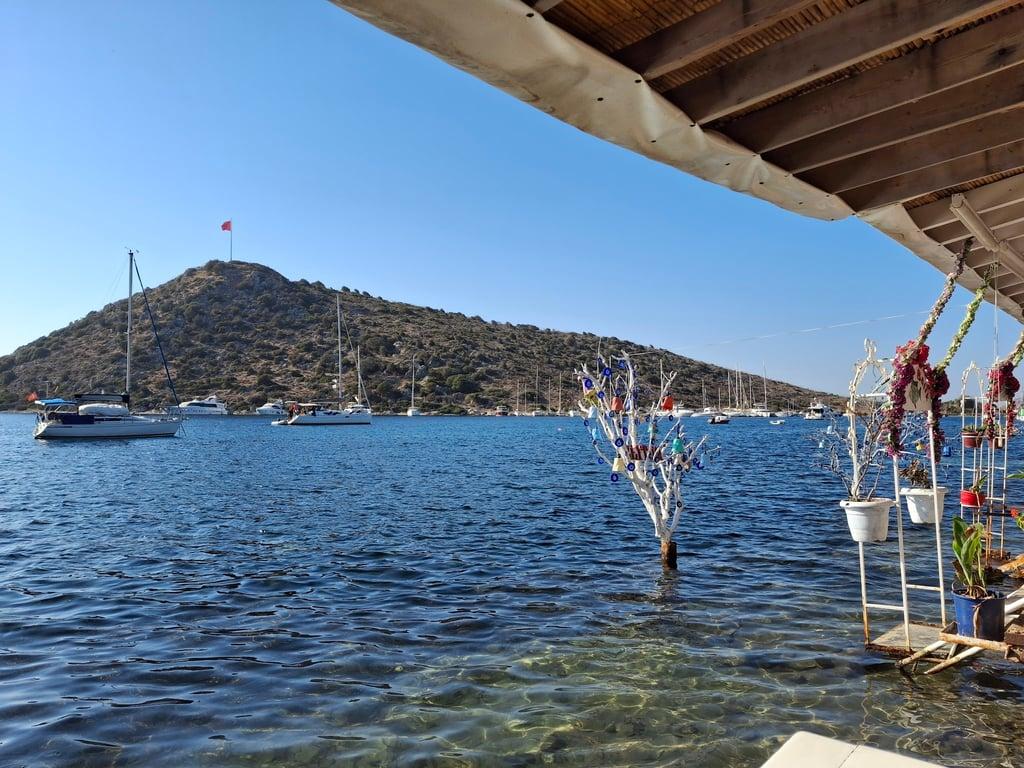Karafaki Erhan Usta Gümüşlük Balık Restoranı fotoğraf 9