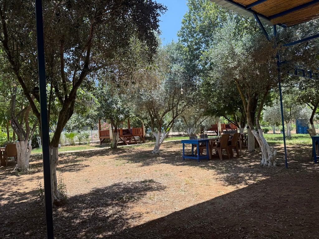 Narlı bahçe pomegranate Garden - Ölüdeniz En İyi Köy Kahvaltısı - Hisarönü Ovacık En İyi Kahvaltı - Ev Yapımı Ürünler fotoğraf 4