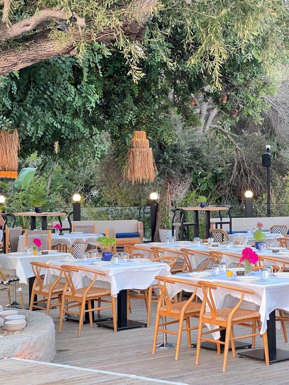 Mayikas Restaurant fotoğraf 2