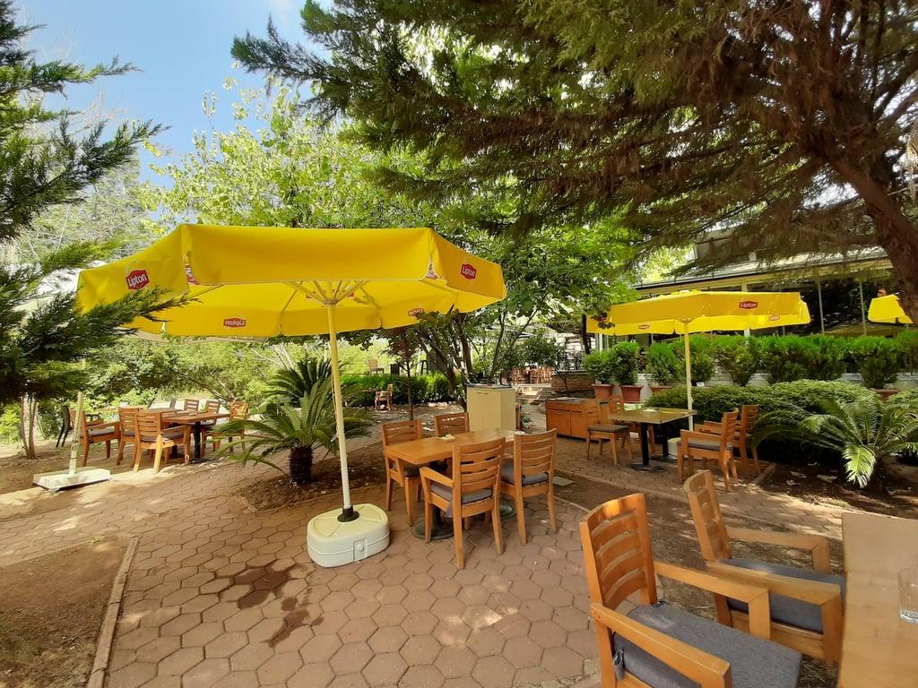 Friends Cafe