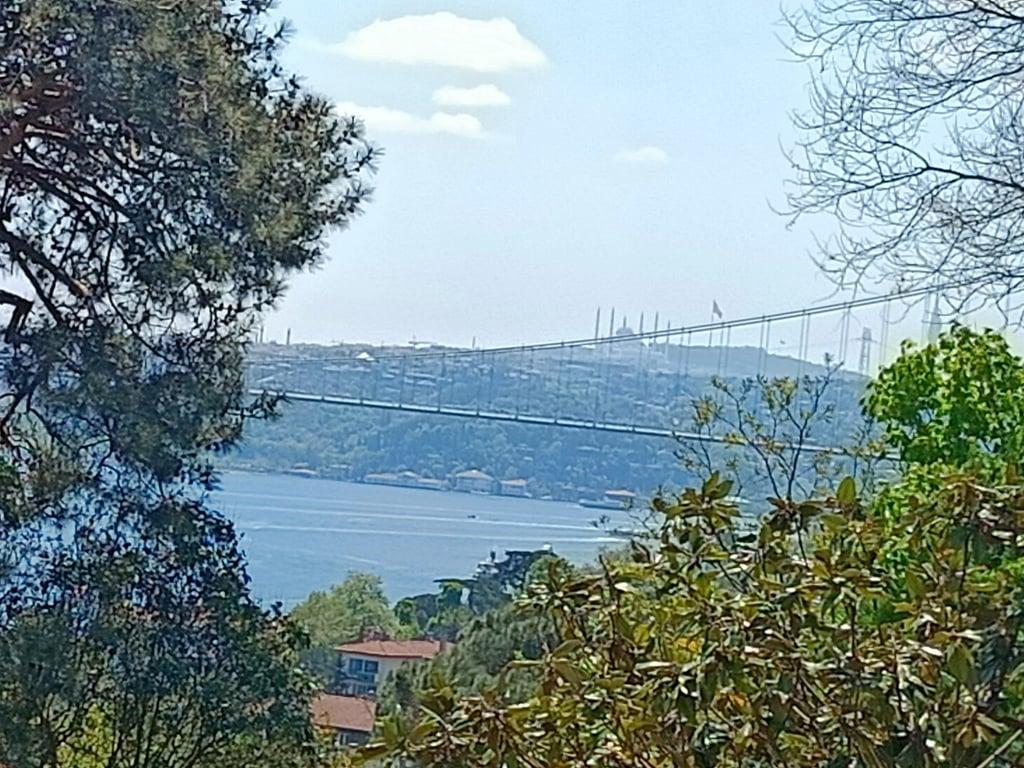 Sarı Köşk, Beltur fotoğraf 17