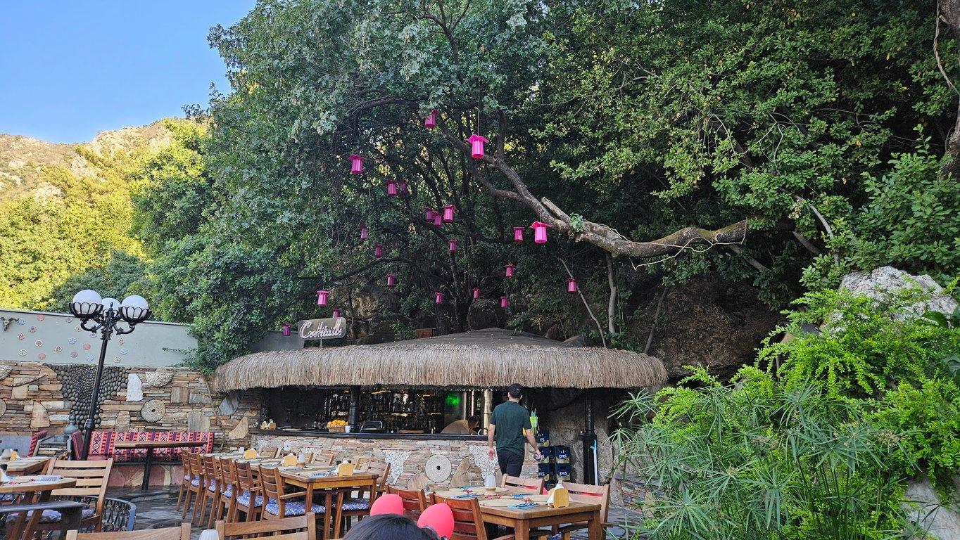 Waterfall Restaurant fotoğraf 11
