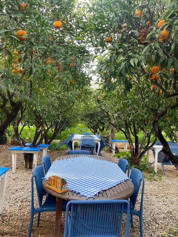 Kuytu Bahçe Bodrum fotoğraf 9