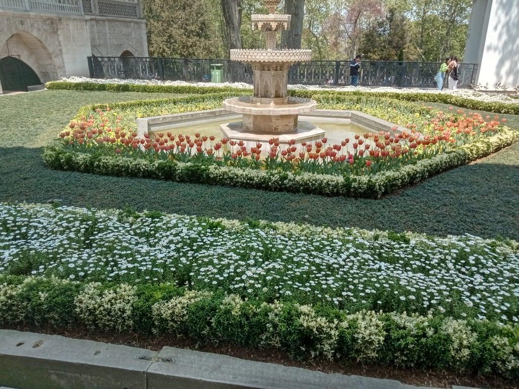 İstanbul Üniversitesi Sosyal Tesisleri Baltalimanı fotoğraf 17